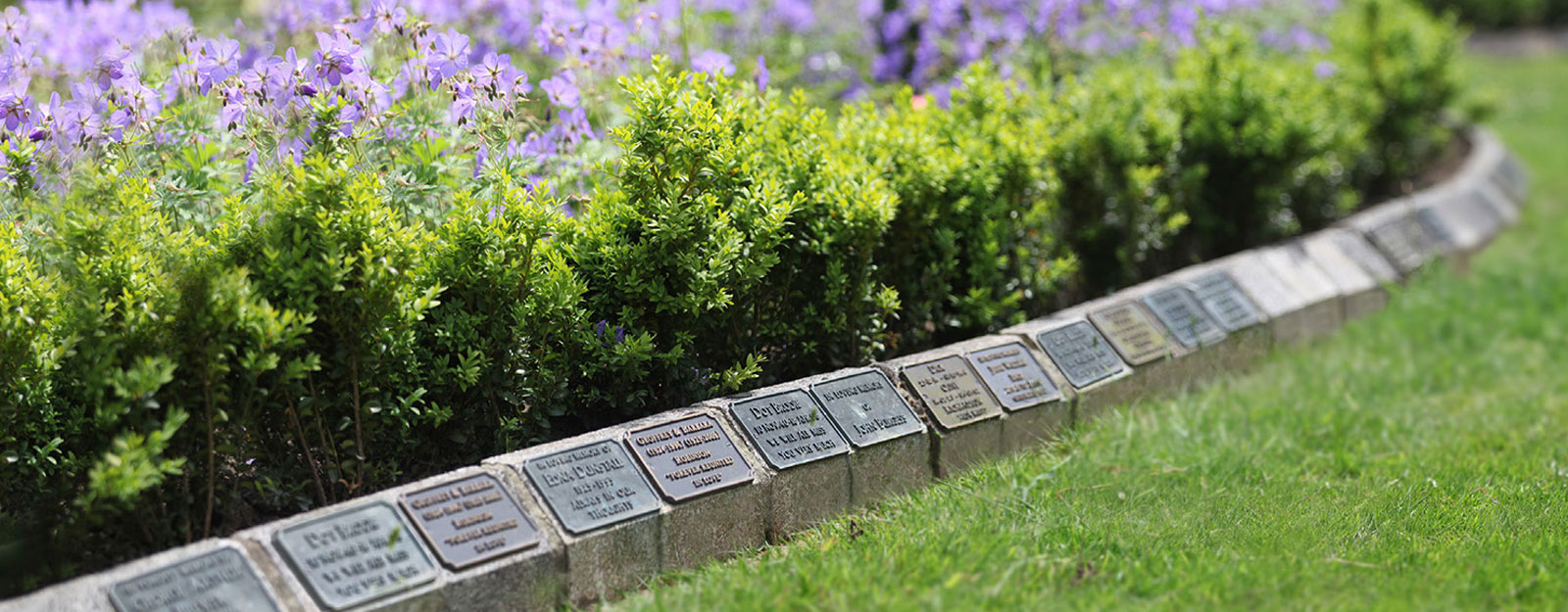 Bronze Plaque for Kerb, Tree or Shrub
